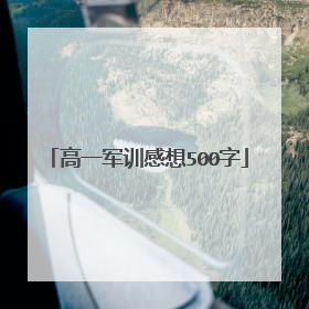 高一军训感想500字
