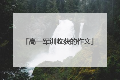 高一军训收获的作文