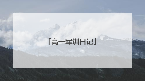 高一军训日记