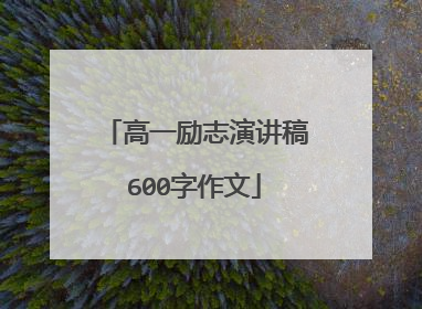 高一励志演讲稿600字作文