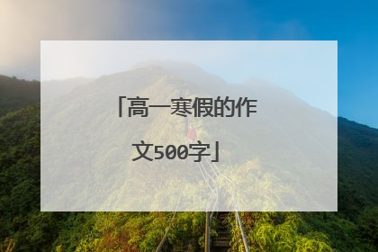 高一寒假的作文500字