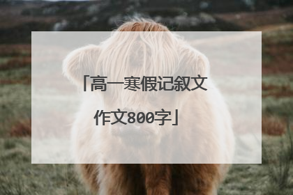 高一寒假记叙文作文800字