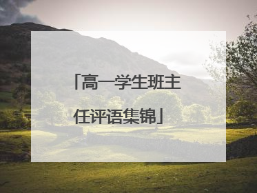 高一学生班主任评语集锦