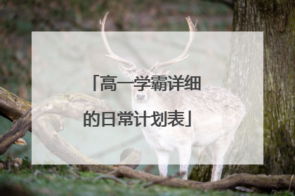 高一学霸详细的日常计划表