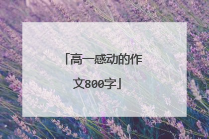 高一感动的作文800字