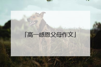 高一感恩父母作文