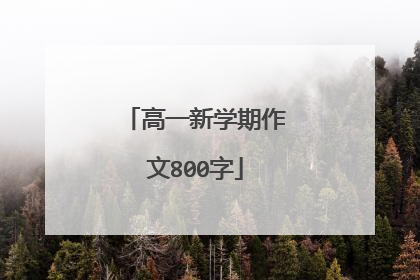 高一新学期作文800字