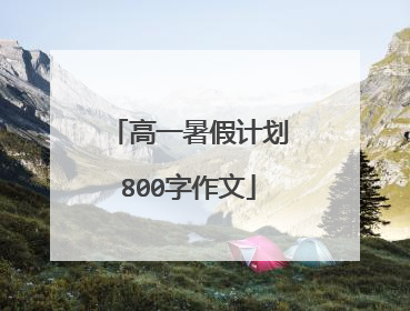高一暑假计划800字作文
