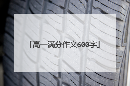 高一满分作文600字