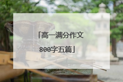 高一满分作文800字五篇