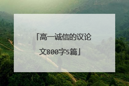 高一诚信的议论文800字5篇