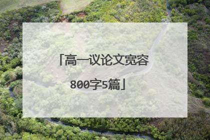 高一议论文宽容800字5篇