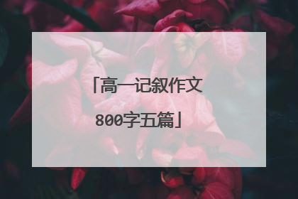 高一记叙作文800字五篇