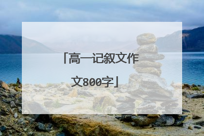 高一记叙文作文800字