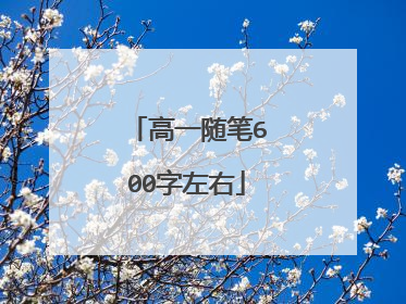 高一随笔600字左右