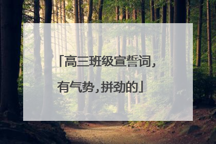 高三班级宣誓词,有气势,拼劲的