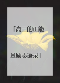 高三的正能量励志语录