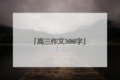 高三作文300字