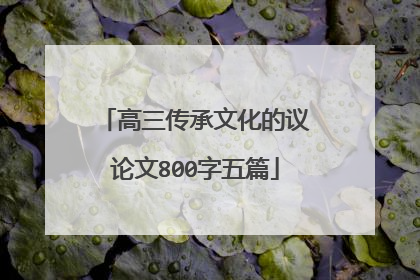 高三传承文化的议论文800字五篇