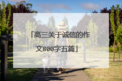 高三关于诚信的作文800字五篇