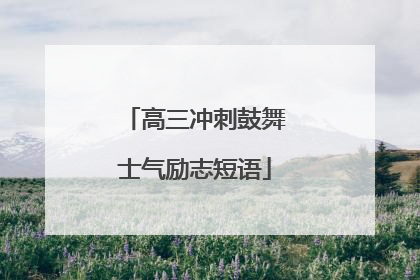 高三冲刺鼓舞士气励志短语