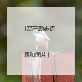 高三励志语录和图片