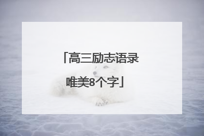 高三励志语录唯美8个字