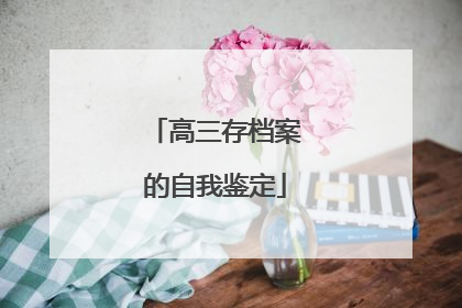 高三存档案的自我鉴定