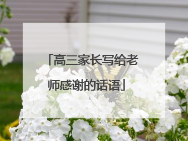 高三家长写给老师感谢的话语