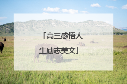 高三感悟人生励志美文