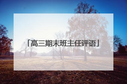 高三期末班主任评语