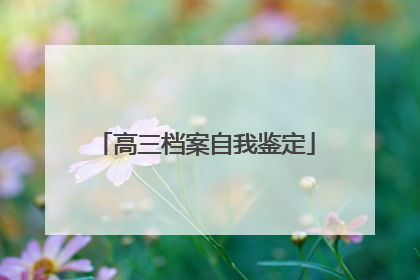 高三档案自我鉴定