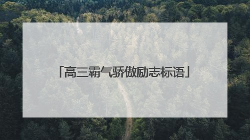 高三霸气骄傲励志标语