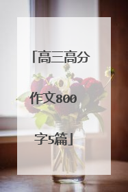 高三高分作文800字5篇