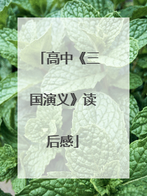 高中《三国演义》读后感