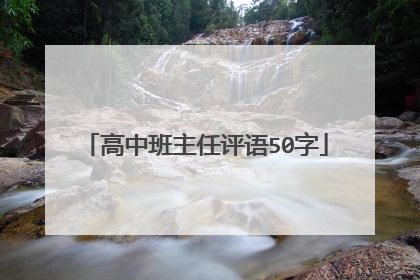 高中班主任评语50字