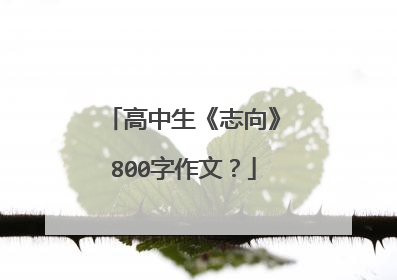 高中生《志向》800字作文?