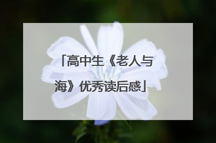 高中生《老人与海》优秀读后感