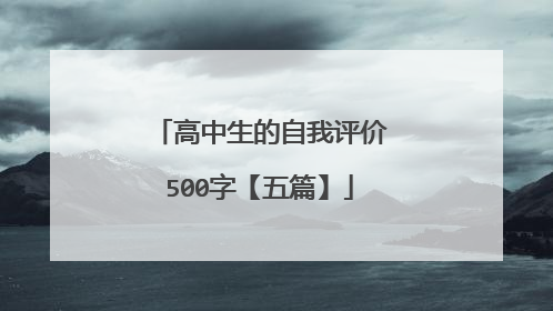 高中生的自我评价500字【五篇】