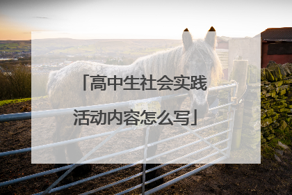 高中生社会实践活动内容怎么写