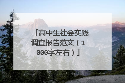 高中生社会实践调查报告范文(1000字左右)