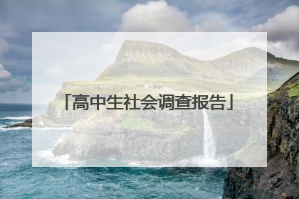 高中生社会调查报告