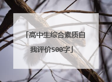 高中生综合素质自我评价500字