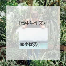 高中生作文700字优秀