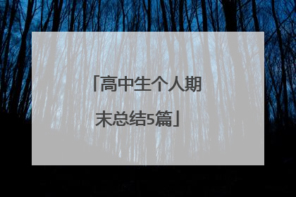 高中生个人期末总结5篇