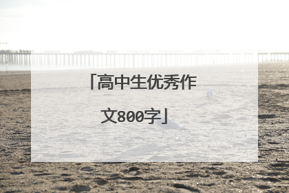 高中生优秀作文800字