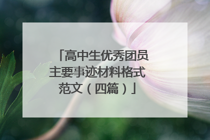 高中生优秀团员主要事迹材料格式范文(四篇)