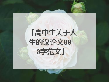 高中生关于人生的议论文800字范文