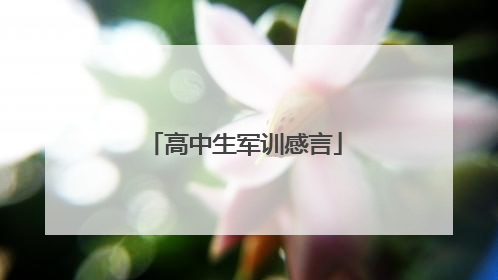 高中生军训感言