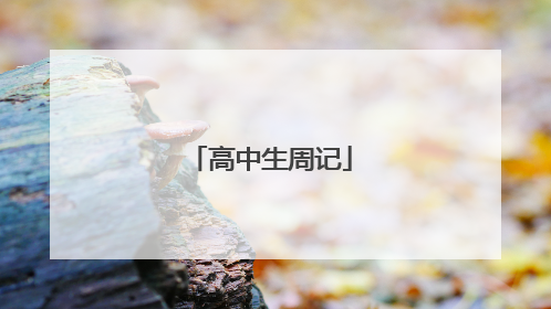 高中生周记
